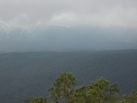 nte Rinatu-20110615 125